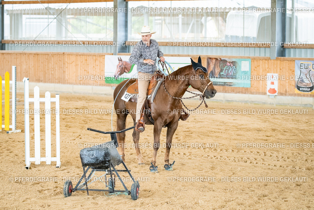 DSC07060 | Pferdegrafie