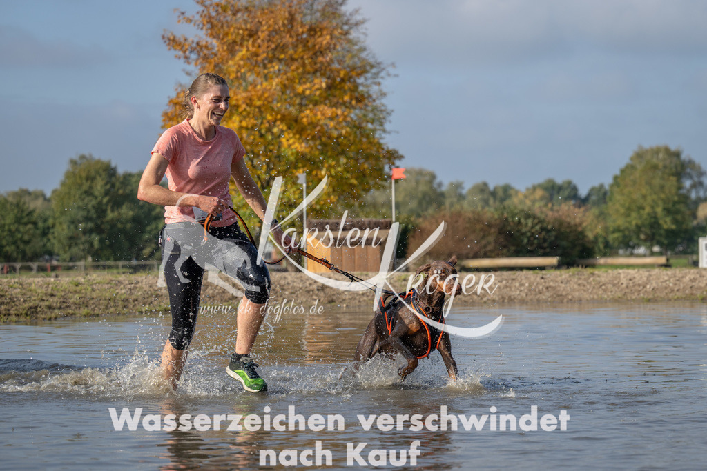 1106_ZZ91508 | kk-dogfotos