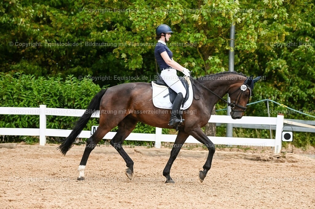 20230715_05_Dressurprüfung Kl.A++_0208 | equistock