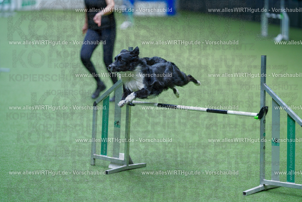 @allesWIRTHgut_Tierfotografie - www.allesWIRTHgut.de - 2604261238-7R501300 | Professionelle Tierfotografie in Mönchengladbach von Daniel Wirth (allesWIRTHgut). Liebevolle & natürliche Bilder von Hunden & Katzen für unvergessliche Erinnerungen.