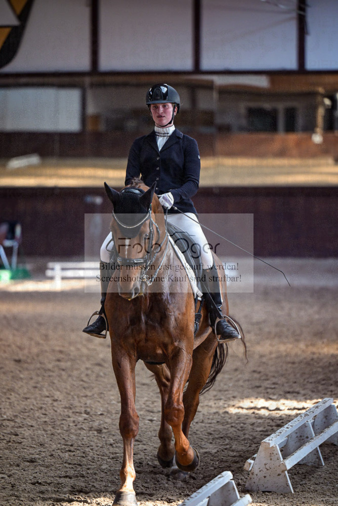 Reitturnier Voxtrup | Entdecke hochwertige Reitturnierfotos von Foto Oger. Professionell, emotional und authentisch – jetzt Lieblingsmomente im Shop bestellen.Deutschlandweite Turnierfotografie. - Realisiert mit Pictrs.com