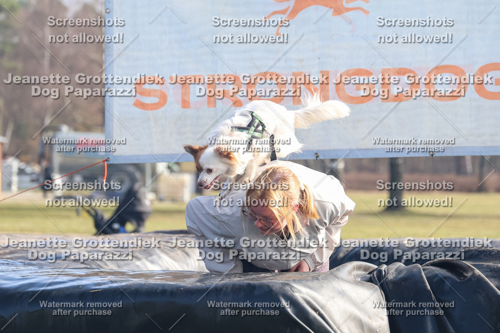 Dog Paparazzi - Strongdog North Mrz26-885 | Dog Paparazzi Jeanette Grottendiek Fotografie & Videografie - Realisiert mit Pictrs.com