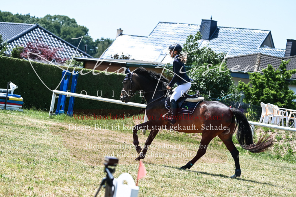 DSC_0102 | Pferde- und Turnierfotografie in Westsachsen. Pferdeportraits, Auftragszeichnungen und intuitive Kunst.
