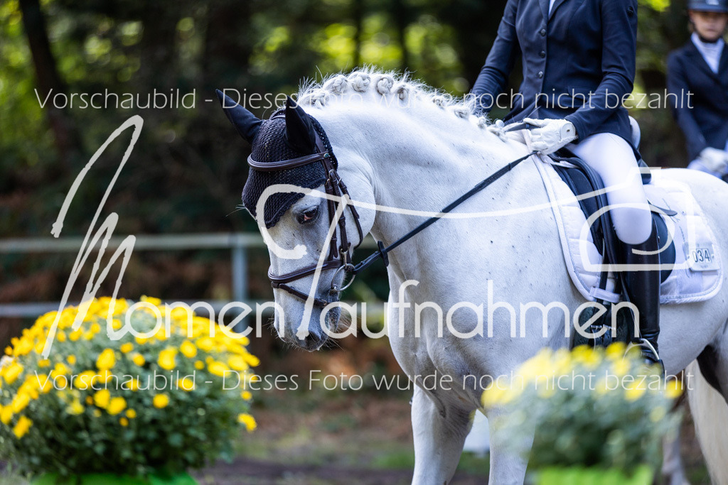 HB-Dressur-WB-105 | MomenTaufnahmen Pferdesportfotos