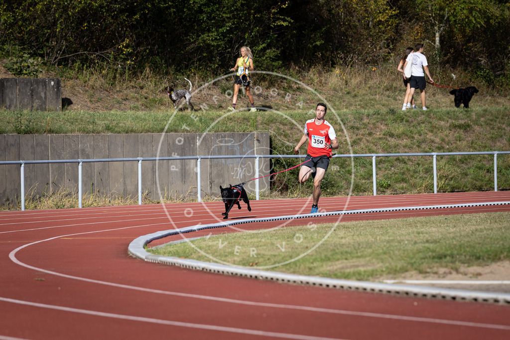 Pfotenfotografie_DV3A9187 | Hundefotografie, Tierfotograf, Pfotenfotografie, Fotoshooting Hund, Hunde Portrait, Hundesport, Hundeportraits, Heideshooting, Hunde, Sportfotograf, Hundefotograf, Turnierhundsport, THS,  - Realisiert mit Pictrs.com