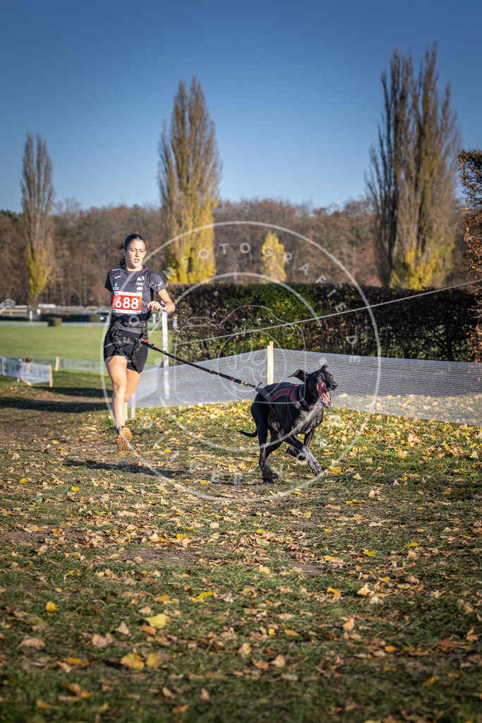 CaniXpix_DV3A1221 | Hundefotografie, Tierfotograf, Pfotenfotografie, Fotoshooting Hund, Hunde Portrait, Hundesport, Hundeportraits, Heideshooting, Hunde, Sportfotograf, Hundefotograf, Turnierhundsport, THS,  - Realisiert mit Pictrs.com