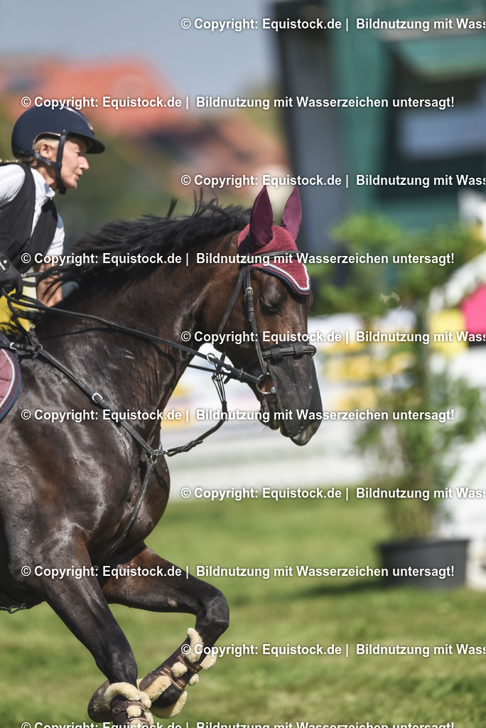 20230909_22_Springen_M_0017 | Foto: Thomas Hartig