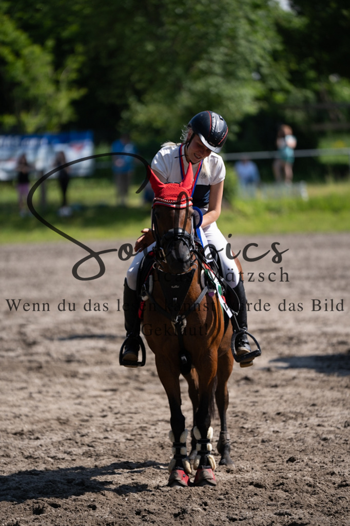 A7V03466 | Pferdefotograf