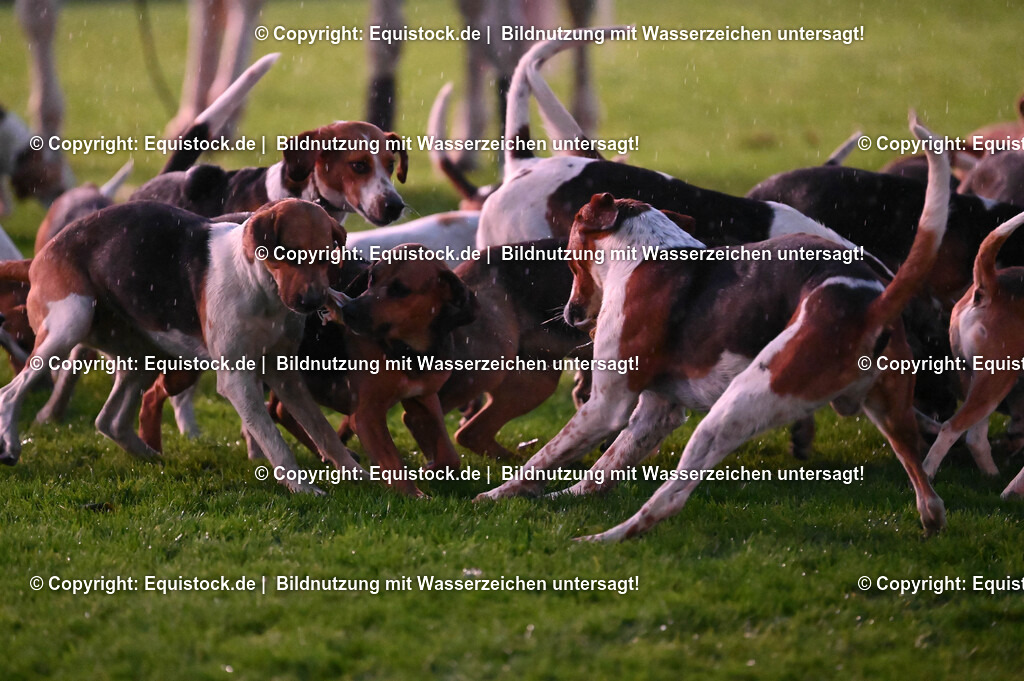 20240517_Lange-Pferdenacht_0507 | Foto: Thomas Hartig