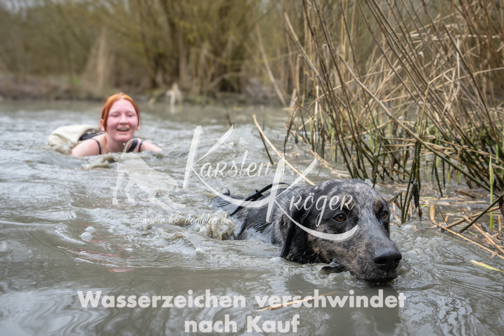1015_ZZ97816 | kk-dogfotos