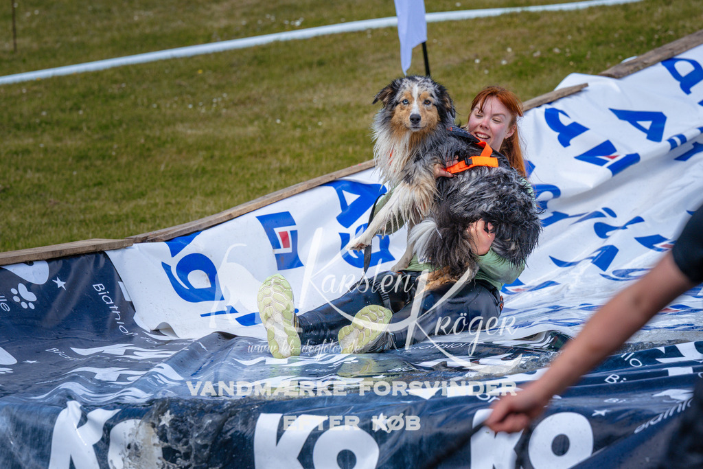 _ZZ998701058 | kk-dogfotos