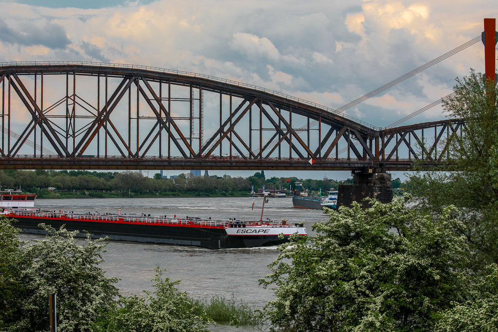 U17_AufdemRhein_120523_05 | Bildergalerie von Sport-Ereignissen aber auch von weiteren spannenden Dingen - nicht nur vom Niederrhein. In Anlehnung an den bekannten Spruch von Hanns Dieter Hüsch heißt das Motto: "Niederrhein ist überall".  - Realisiert mit Pictrs.com
