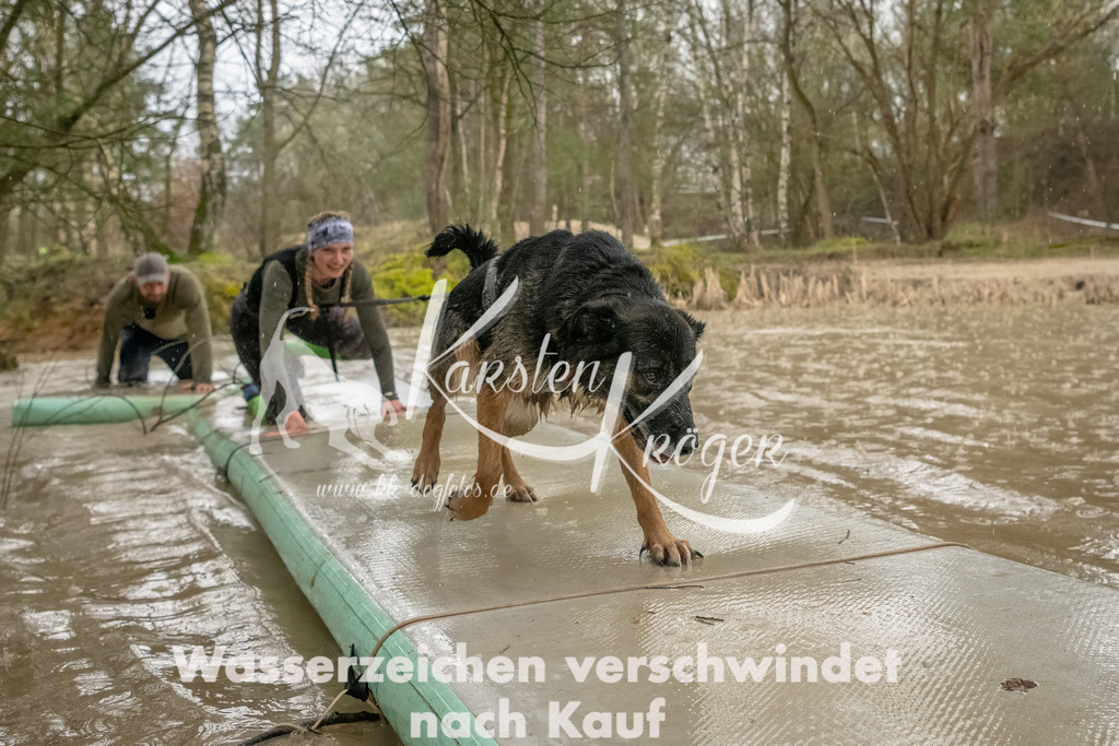 0906_ZZ90266-Bearbeitet | kk-dogfotos