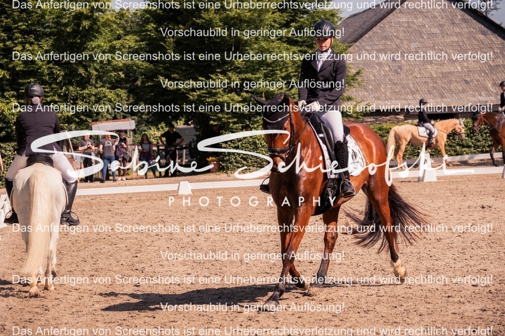 2025_05_31_DSCF3059 | People- und Tierfotografie, Imageaufnahmen, Veranstaltungsfotografie und Wandbilder aus der Natur ★ Made in Germany ✔️ Druck + Downloads ✔️ Naturfotografie in Top Qualität ★ schneller Versand, weltweite Lieferung! - Realisiert mit Pictrs.com