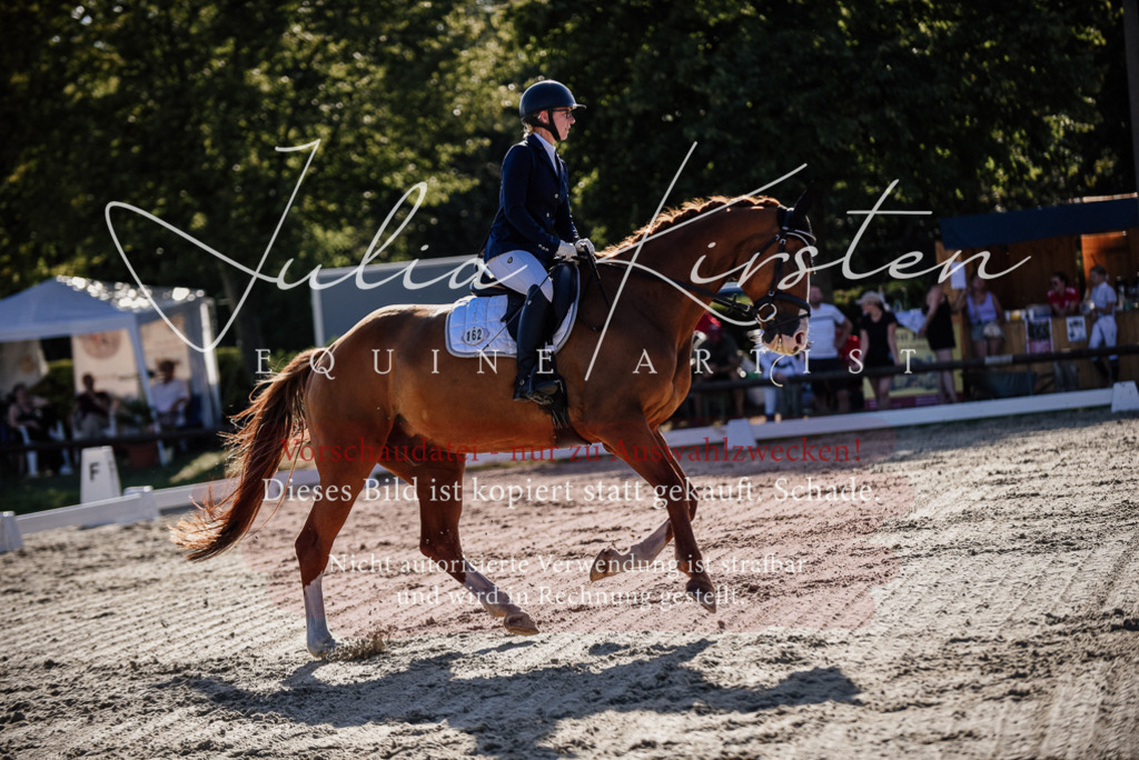 DSC_0482 | Pferde- und Turnierfotografie in Westsachsen. Pferdeportraits, Auftragszeichnungen und intuitive Kunst.
