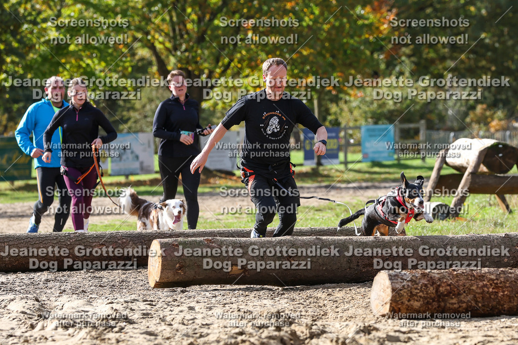 Dog Paparazzi - Strongdog 10-25-5638 | Dog Paparazzi Jeanette Grottendiek Fotografie & Videografie - Realisiert mit Pictrs.com