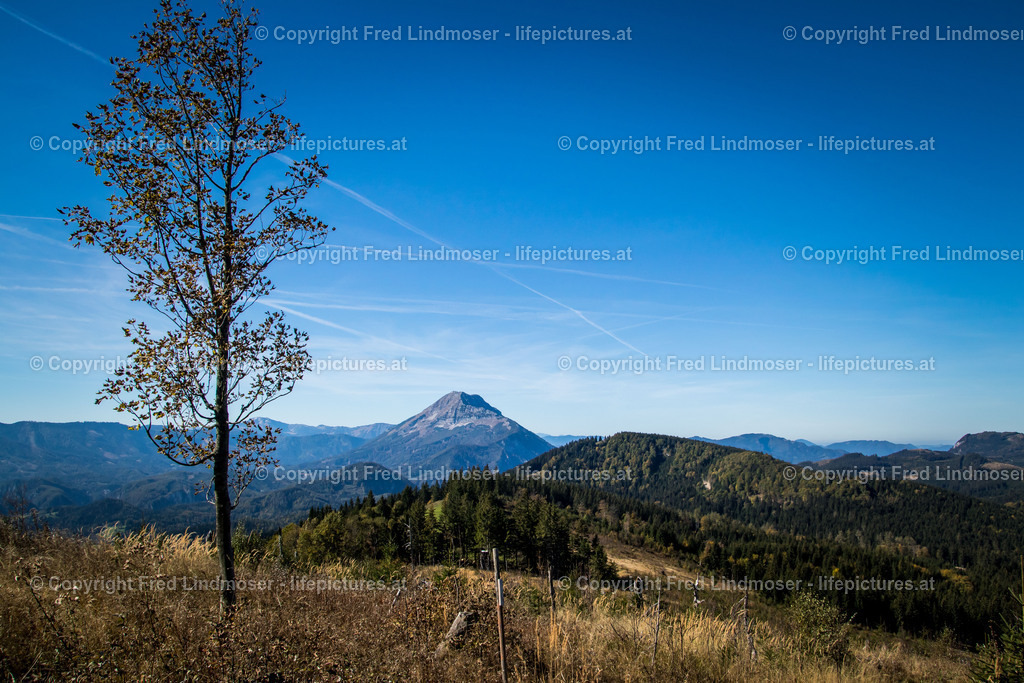 Otscher  (10) | Fotos und Fotoprodukte - Realisiert mit Pictrs.com