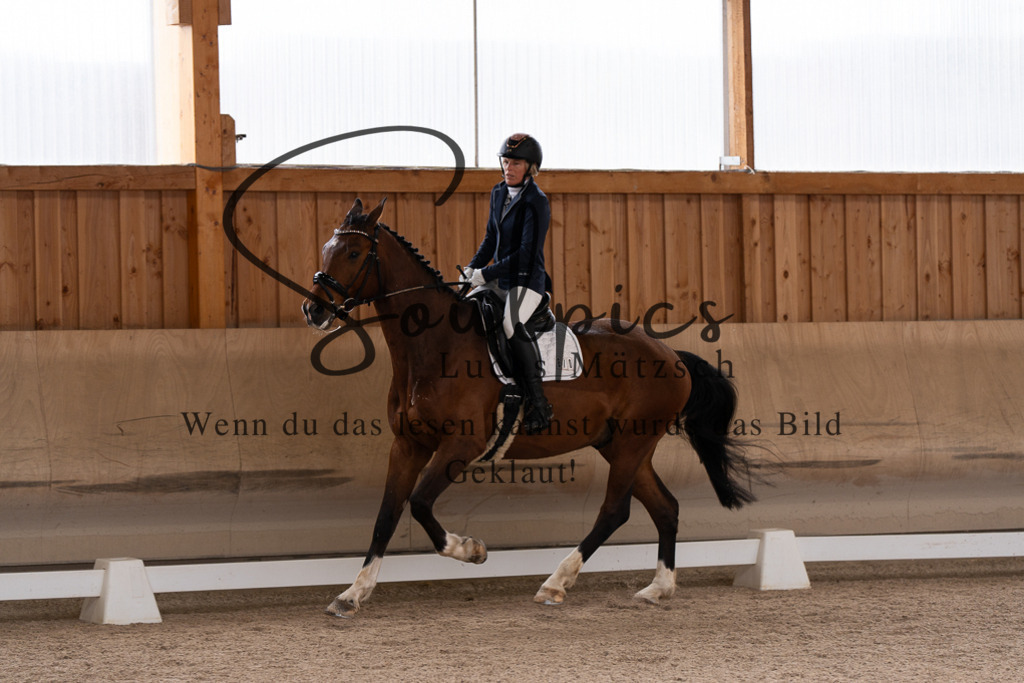 A7507129 | Pferdefotograf