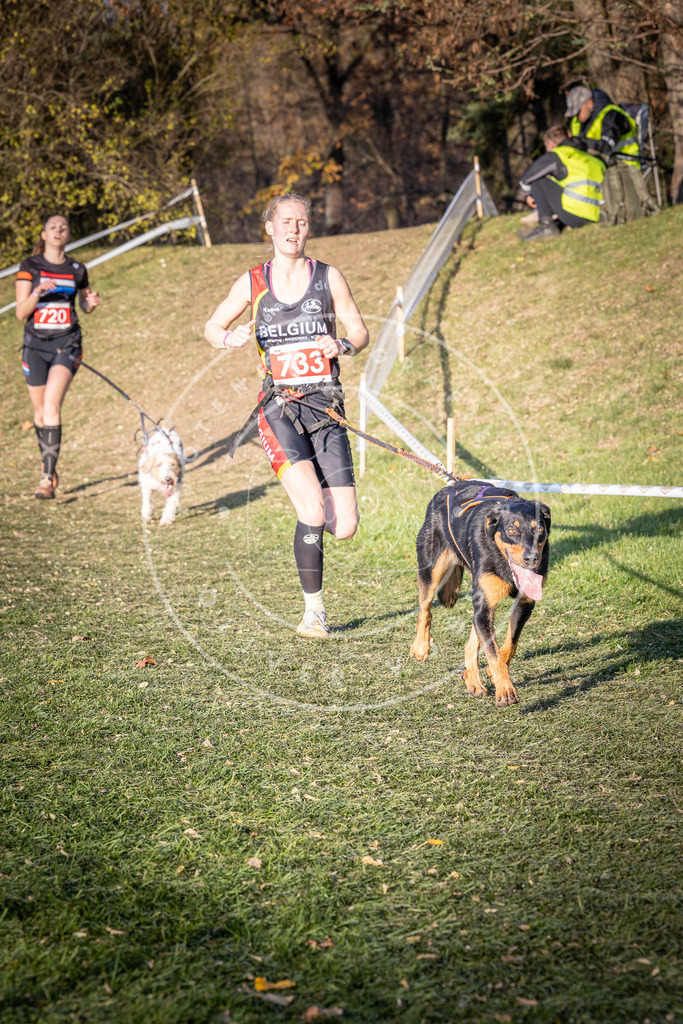 CaniXpix_0L8A9753 | Hundefotografie, Tierfotograf, Pfotenfotografie, Fotoshooting Hund, Hunde Portrait, Hundesport, Hundeportraits, Heideshooting, Hunde, Sportfotograf, Hundefotograf, Turnierhundsport, THS,  - Realisiert mit Pictrs.com