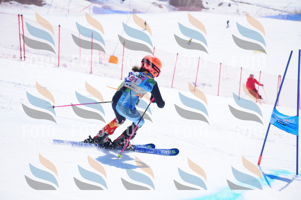 DSC_4321 | holidayphoto