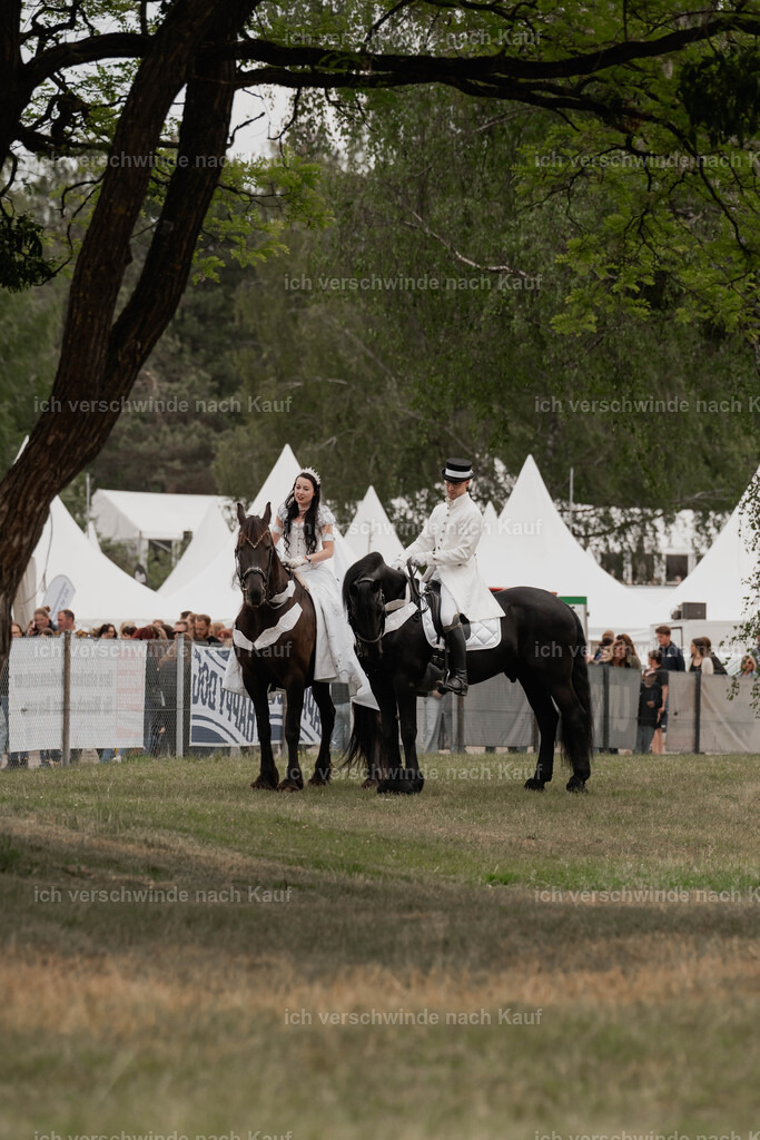 Showprogramm-208 | working equitationturnier fotograf videograf stoibphotography marixx film working equitation deutschland reitsport turnierfotografie eventfotografie equestrian events