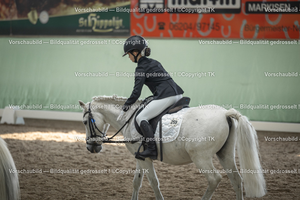 _D5A5709 | Emotionale Pferde- & People-Fotografie rund um Heidelberg, Leimen & Umgebung. Natürliche Fotos von Pferd, Mensch & Familie. Jetzt Termin sichern!