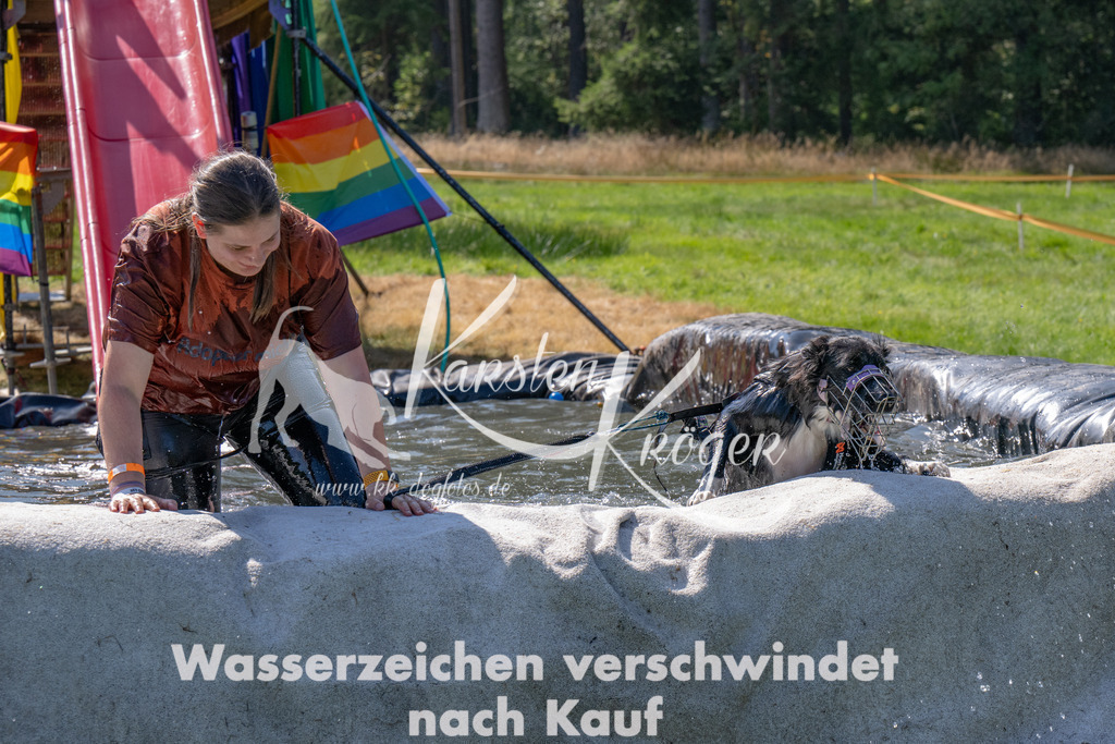 1228_ZZ91985 | kk-dogfotos