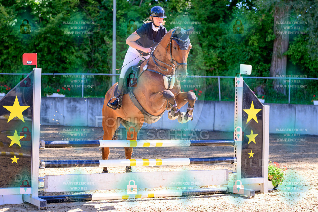 29082026-Giesenbach-Prfg10-0417 | Fokus Hufschlag Fotografie - Realisiert mit Pictrs.com