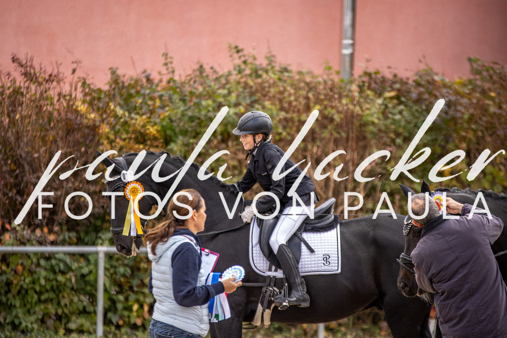 IMG_3726 | Erleben Sie dynamische Sport- und emotionale Tierfotografie in Süddeutschland mit Fotos von Paula. Spezialisiert auf Pferde- und Hundefotografie sowie Sportevents. Kontaktieren Sie mich für einzigartige und ausdrucksstarke Bilder Ihrer besonderen Momente. - Realisiert mit Pictrs.com