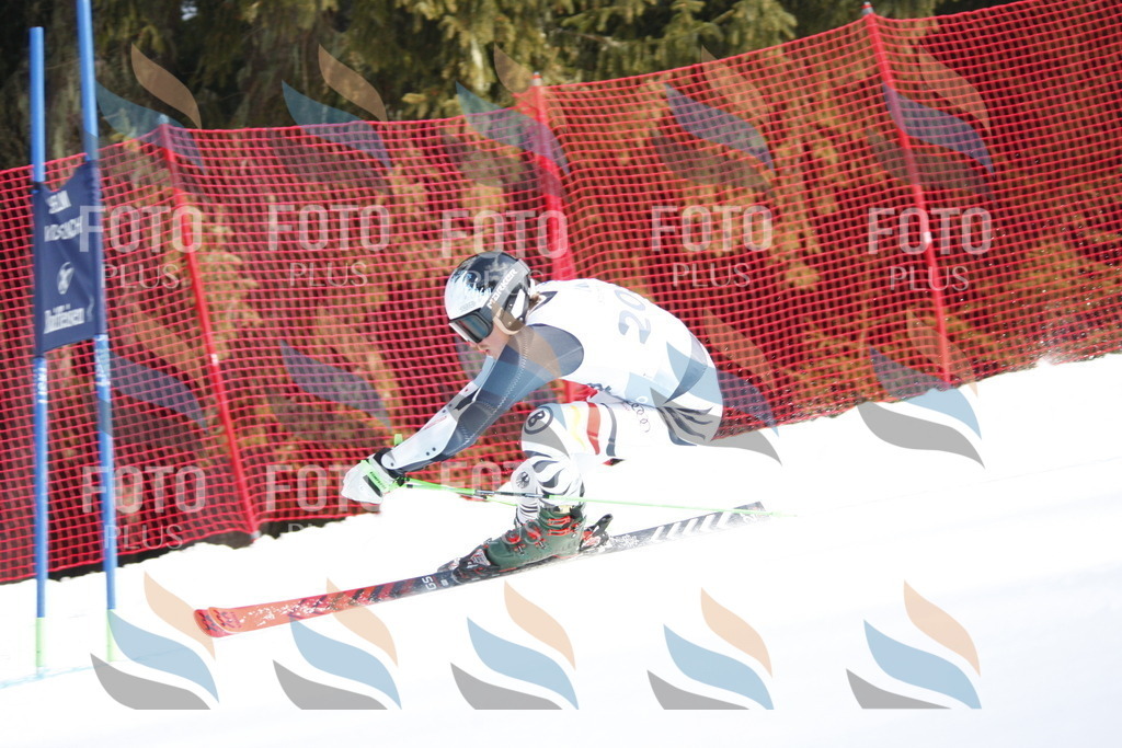 D8180 | holidayphoto