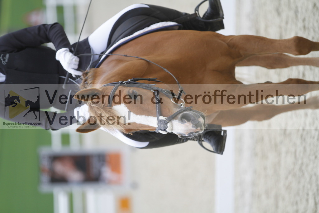 _MG_0588 | equestrian-live-com