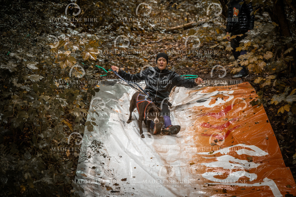 madeleinebirr-fotografie2025.campcanis.sa.10-11Uhr-381 | hundefotografie-birr
