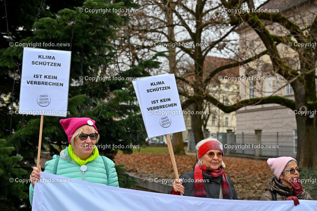 Demonstration Fridays for Future_ Lndhaus Linz_ 16.12.2023-7 | 16.12.2023, Linz, AUT, Demonstration Fridays for Future, Landhaus Linz, im Bild Demonstrationsteilnehmer, Kundgebung, Transparente, Omas gegen rechts, Teachers for Friday, Klimastreik, Klimaziele, Ansprachen