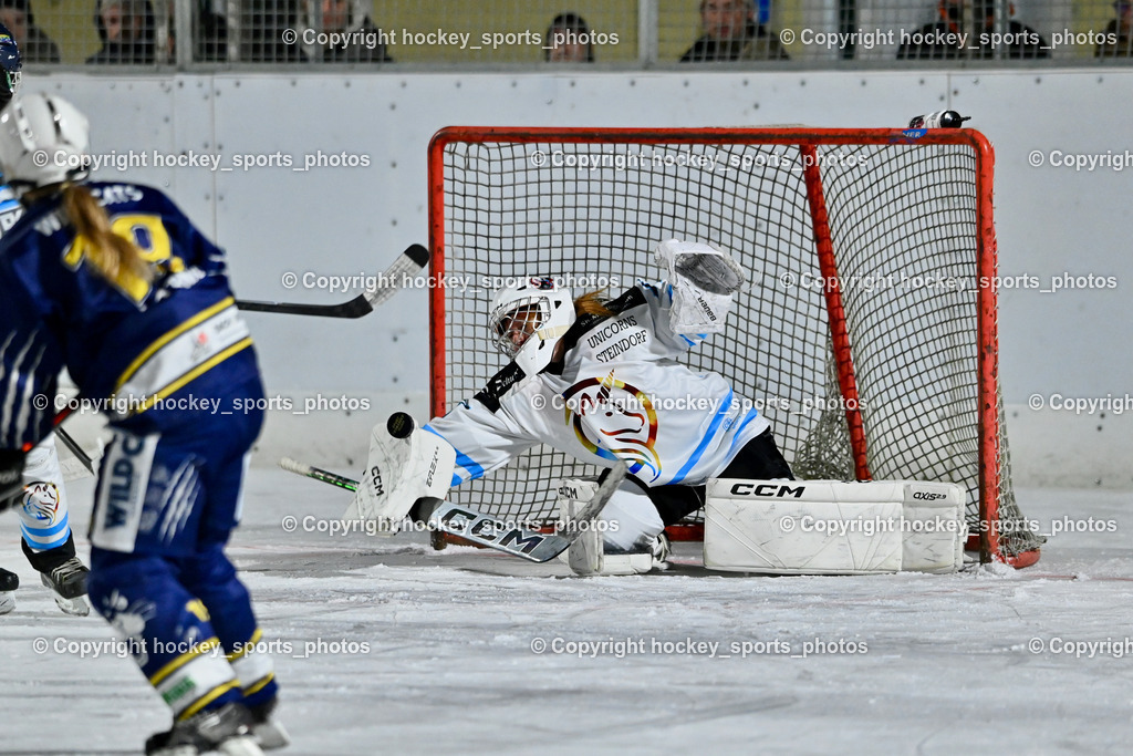 Wildcats Paternion vs. Unicorns Steindorf | #35 Winkler Therese UNICORNS STEINDORF, Wildcats Paternion vs. Unicorns Steindorf, Wildcats Paternion vs. Unicorns Steindorf am 02.01.2026 in Paternion (Eislaufplatz Paternion), Austria, (Photo by Bernd Stefan)