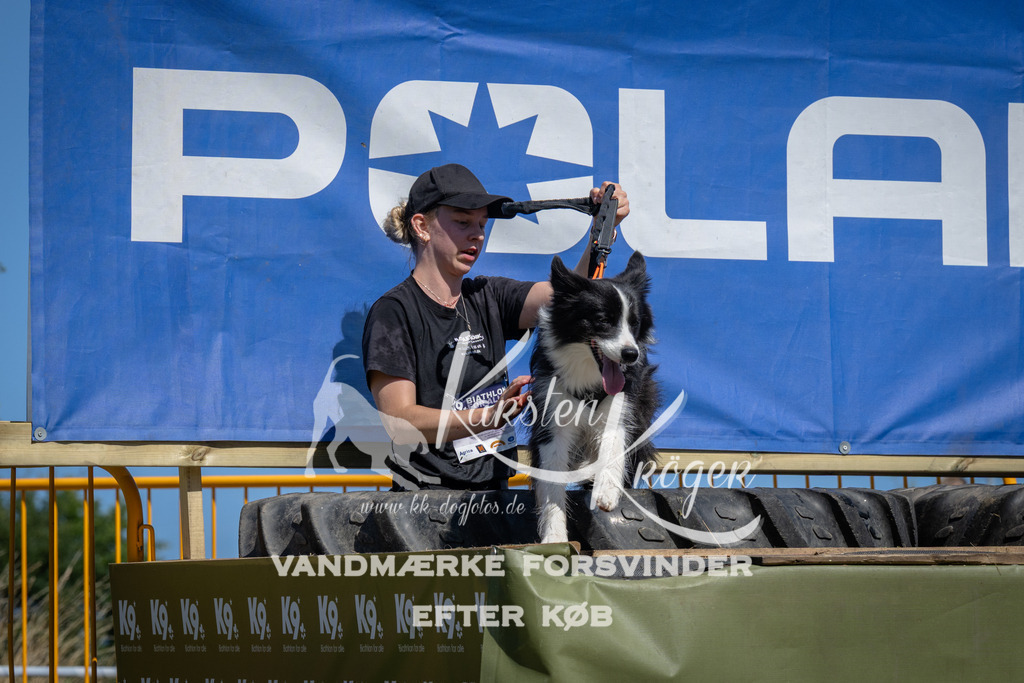 1251_ZZ96956 | kk-dogfotos