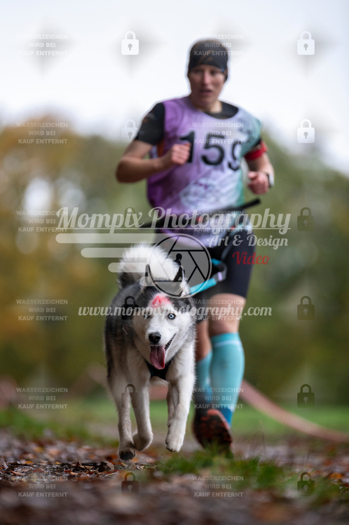 DBT_DAKM_SA_4_11_2023_Canicross-113 | PayLife