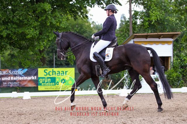 DKP41170 | Turnierfotos kaufen im Webshop von Daniel Kuhl Photography – entdecke professionelle Reitsportfotos aus Turnieren & Events. Hochwertige Turnierbilder online bestellen & sichern. Jetzt Fotos von Reitsportturnieren kaufen!