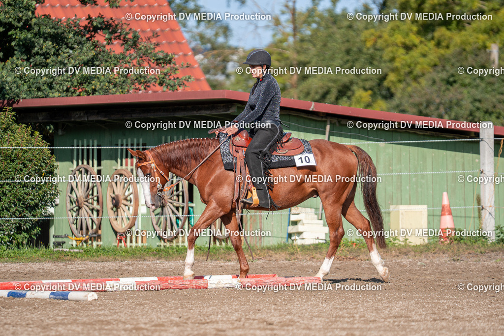 Balingen Tag 2-147 | dv-media-shop - Realisiert mit Pictrs.com