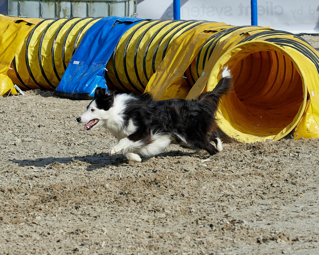 580B0065 | Peter Fridle Fotografie - Realisiert mit Pictrs.com