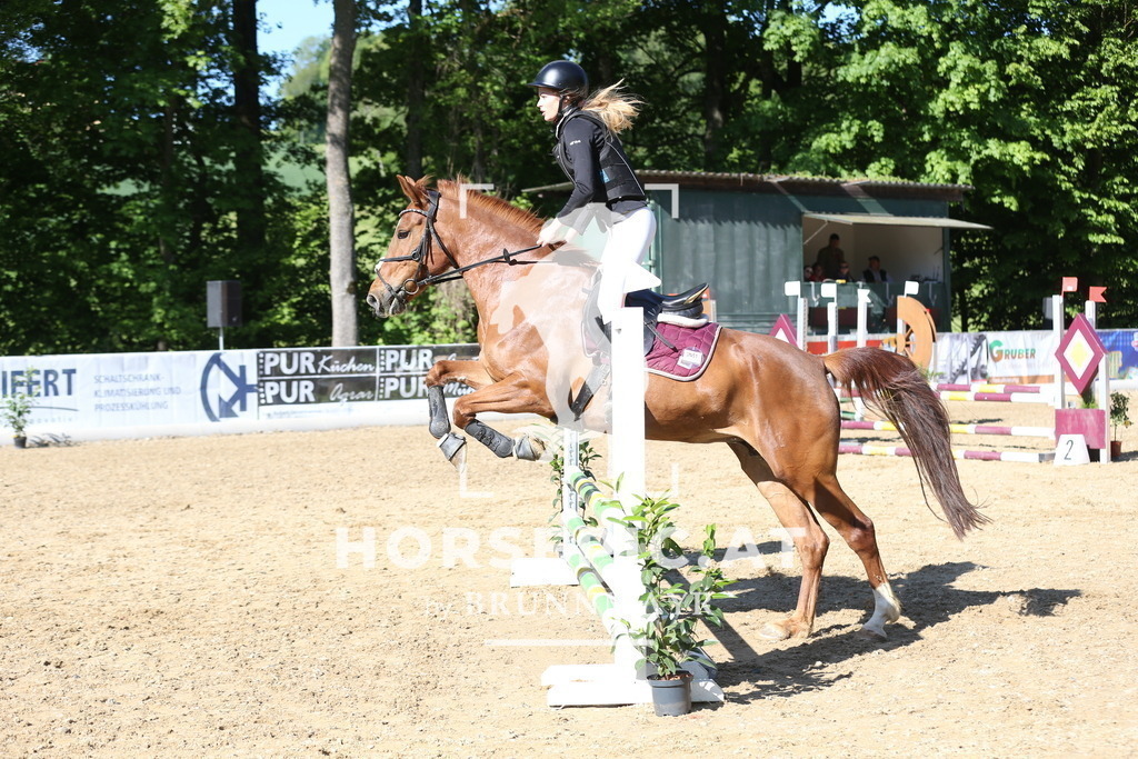 DL2Q0429 | Willkommen bei Brunnmayr - Design & Fotografie – Ihrem Spezialisten für Reitturniere und Pferdeveranstaltungen in Oberösterreich, Salzburg und Bayern! Seit über 17 Jahren sind wir leidenschaftlich dabei.