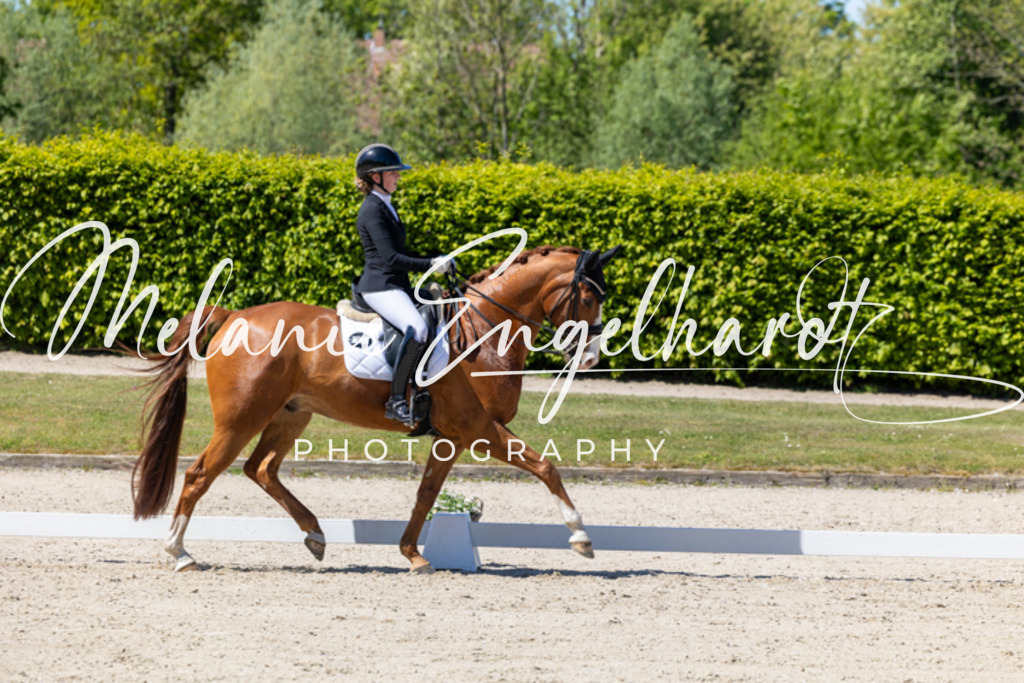 7I8A0115 | melanie-engelhardt-photography - Realisiert mit Pictrs.com