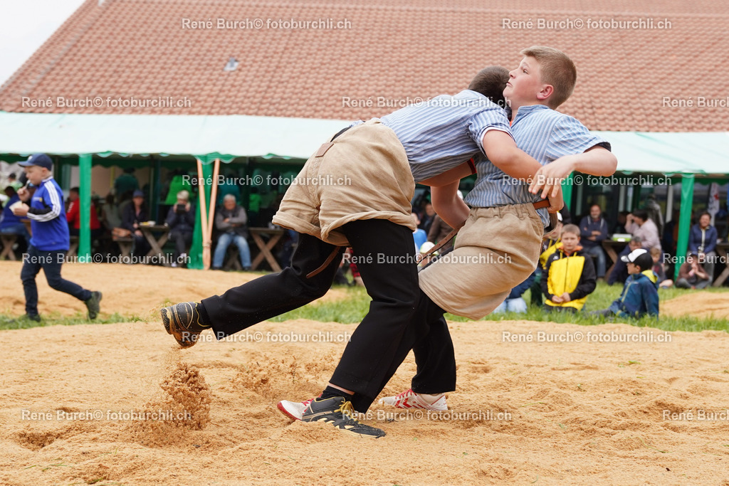 20220423-DSC03596 (2) | René Burch leidenschaftlicher Fotograf aus Kerns in Obwalden.  Hier finden sie Sport, Landschaft und Natur Fotografie.
 - Realisiert mit Pictrs.com