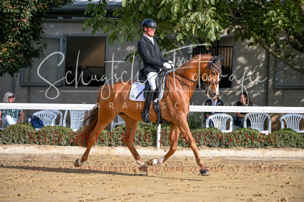 Schugtsche-Aluta25-52.Dressurprf.M2Kand-232 | Schugtsche Fotografie - Realisiert mit Pictrs.com