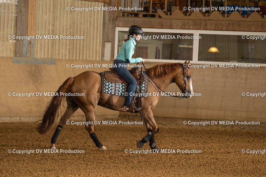 LAU00788 | dv-media-shop - Realisiert mit Pictrs.com