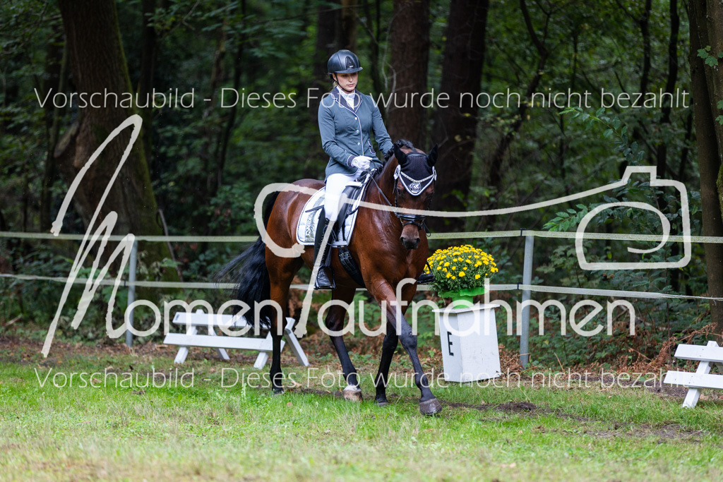 HB-A-Dressur-083 | MomenTaufnahmen Pferdesportfotos