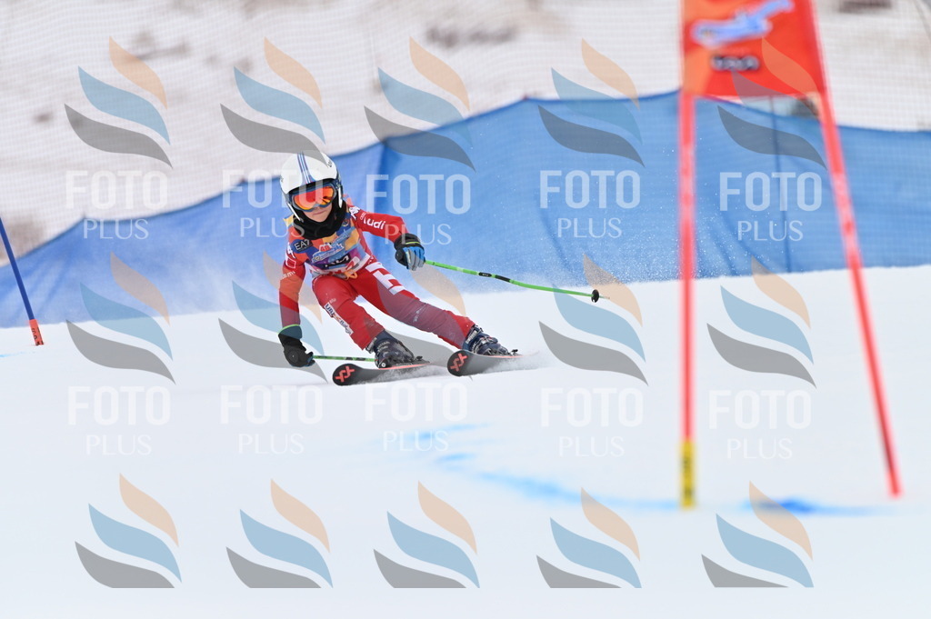 BGV_2853 | holidayphoto