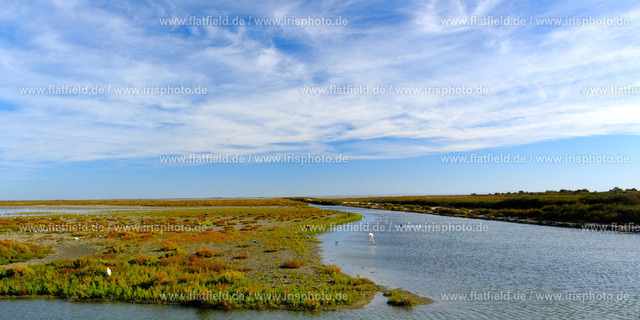 Camargue Landschaft Panorama I | In Saintes Maries de la Mer