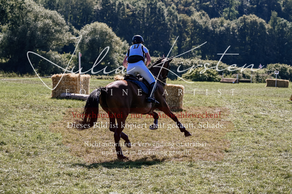 DSC_2015 | Pferde- und Turnierfotografie in Westsachsen. Pferdeportraits, Auftragszeichnungen und intuitive Kunst.