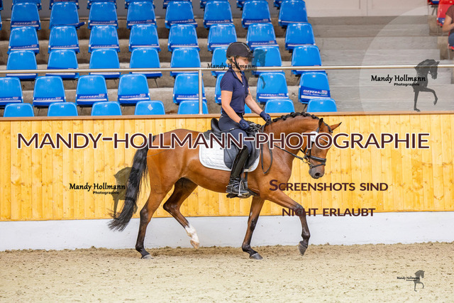 SLP 2 (382 von 1007) | mandyhollmannphotographie