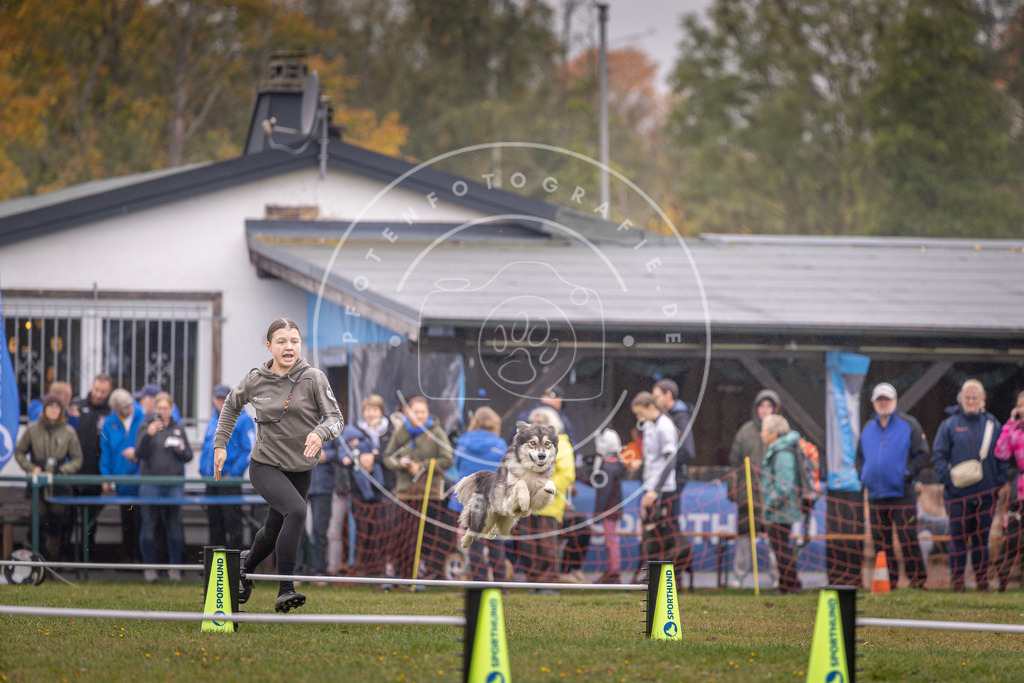 Pfotenfotografie_DV3A0635 | Hundefotografie, Tierfotograf, Pfotenfotografie, Fotoshooting Hund, Hunde Portrait, Hundesport, Hundeportraits, Heideshooting, Hunde, Sportfotograf, Hundefotograf, Turnierhundsport, THS,  - Realisiert mit Pictrs.com